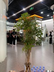 -艾美A·M Hair Salon