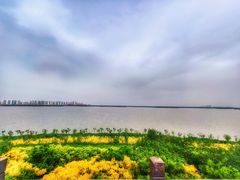 -天津东丽湖风景区