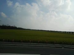 -上海海湾国家森林公园
