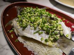 -钟菜·粤菜点心·宴请(海上世界·汇港二期店)