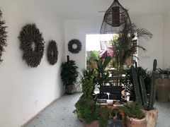 -云里小坐·小院里·团建·宴请·下午茶(三圣乡店)