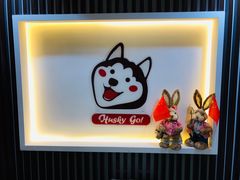 -Husky Go! 哈士奇体验馆·宠物咖啡厅狗咖