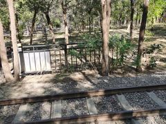 -西青郊野公园