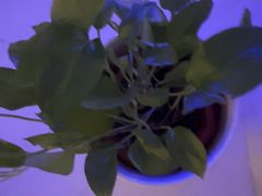 -漫·汤泉