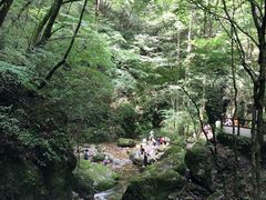 -牛背梁国家森林公园