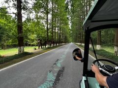 -黄海国家森林公园