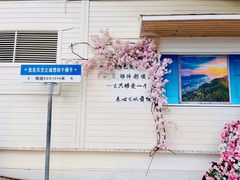 -仙岛湖旅游风景区