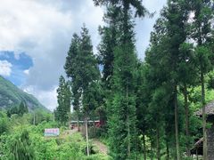 -鹿院坪生态旅游景区