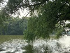 -北陵公园