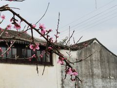 -相门城墙文化休闲景区