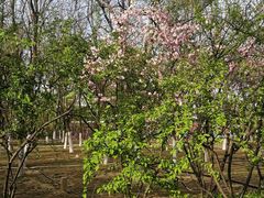 -大兴滨河森林公园