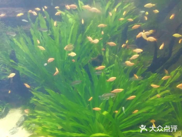 郑州海洋馆图片