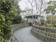 -福道