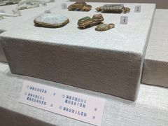 -烟台市博物馆