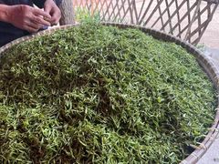 -大唐贡茶院
