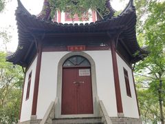 -上海佘山国家森林公园天马山园