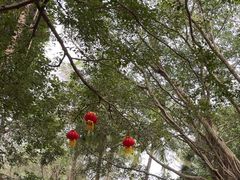 -海南热带野生动植物园