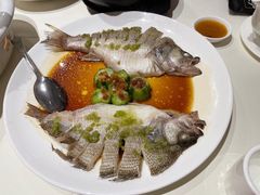 -衡山汇·高级粤菜(霄云路店)