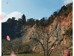-上海辰山植物园
