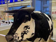 -红星前进面包牛奶公司(君太店)