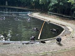 -南山风景名胜区