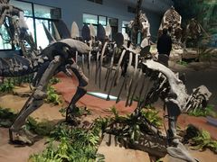 -自贡恐龙博物馆