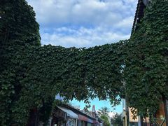 -藏红花·西班牙餐厅(北京五道营店)