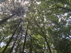 -洛阳白云山景区