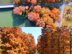-四海公园(南山区)