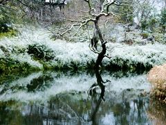 -拙政园
