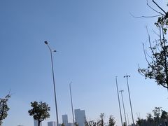 -艾溪湖湿地公园