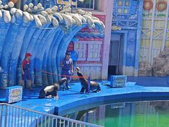 -华夏文旅海洋公园