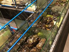 -Isla Sugbu Seafood City