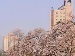 -红星桥(地铁站)