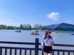 -上海长兴岛郊野公园