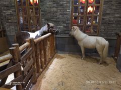 -巴倒烫陆派重庆火锅(南山店)