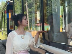 -莫尔道嘎国家森林公园