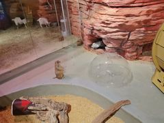 -正佳雨林生态植物园