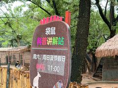-深圳野生动物园