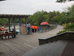 -吴淞炮台湾湿地森林公园烧烤区