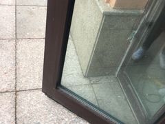 -马白开来特色羊排揪片子  (总店)