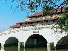 -大湾区中央湿地公园