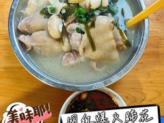 -胖娃滋补蹄花