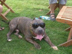 -北京房车博览中心