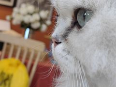 -朝画惜时·陶艺·拼豆·团建