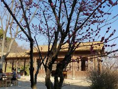 -苏州上方山国家森林公园