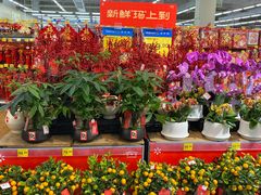 -天河沃尔玛