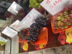 -马陆小张葡萄园农家乐