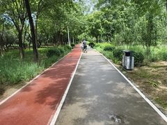 -绿堤公园