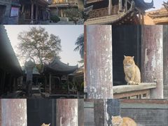 -大学习巷清真寺